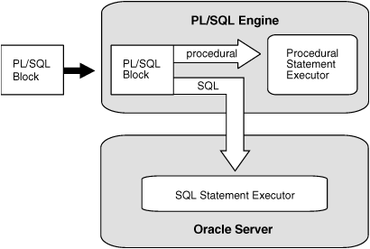 Description of lnpls004.gif follows