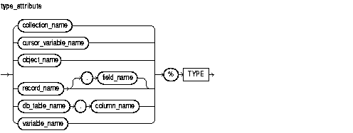 Description of type_attribute.gif follows