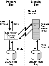 Description of maxav005.gif follows