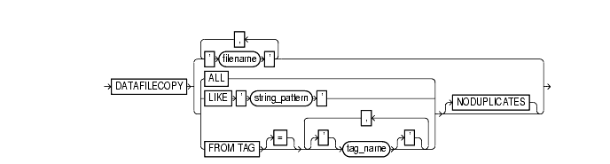 Text description of datafileCopySpec.gif follows