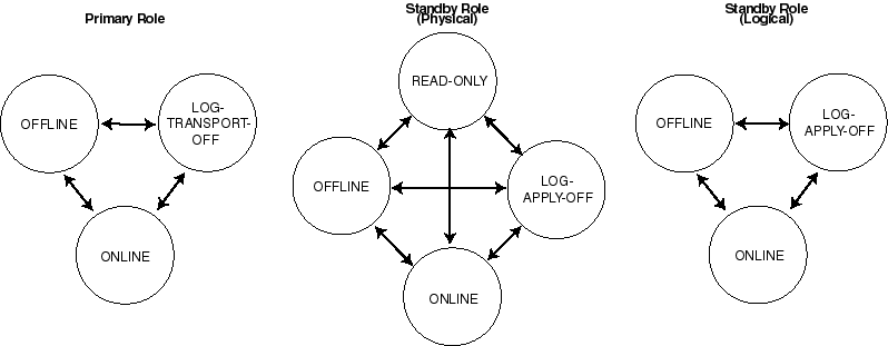 Description of transitn.gif follows