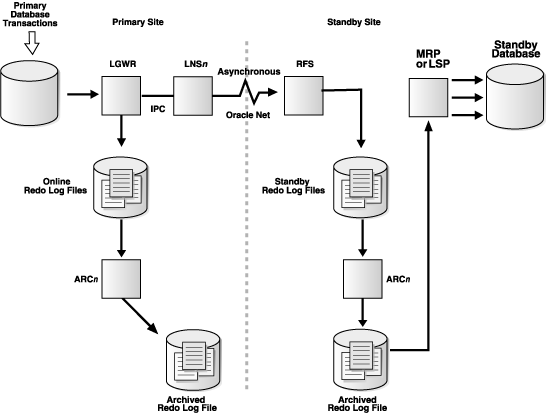 Text description of lnsprocess.gif follows.