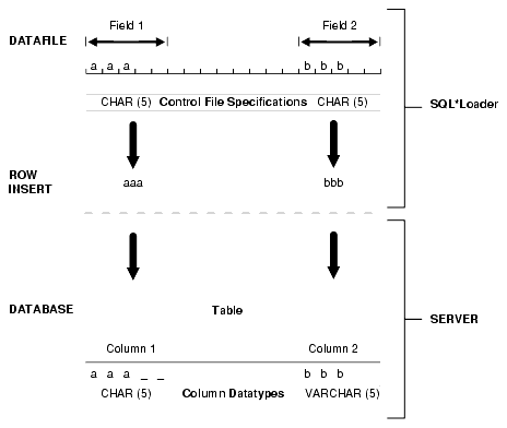 Description of sut81003.gif follows